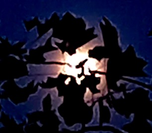Le mie lune